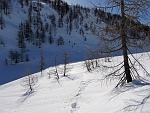 bscarp17 021m